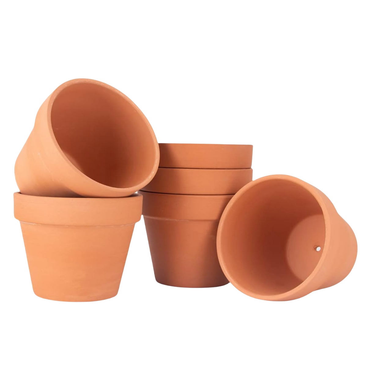 Cactus Mix Pot - 6 sztuk 4-calowych doniczek z terakoty