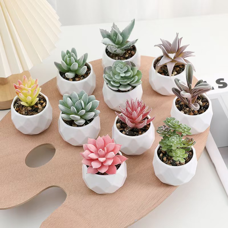 Cactus Mix Pot - Mini sztuczne rośliny symulacja wiecznie zielone