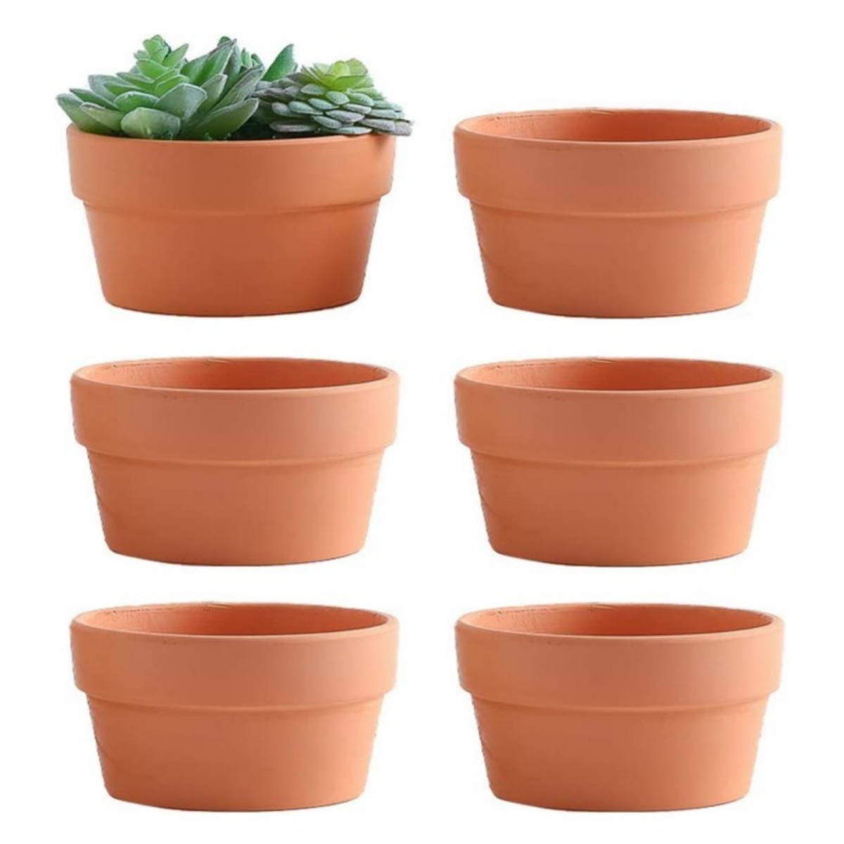 Cactus Mix Pot - 6 szt. Doniczki z terakoty Buld