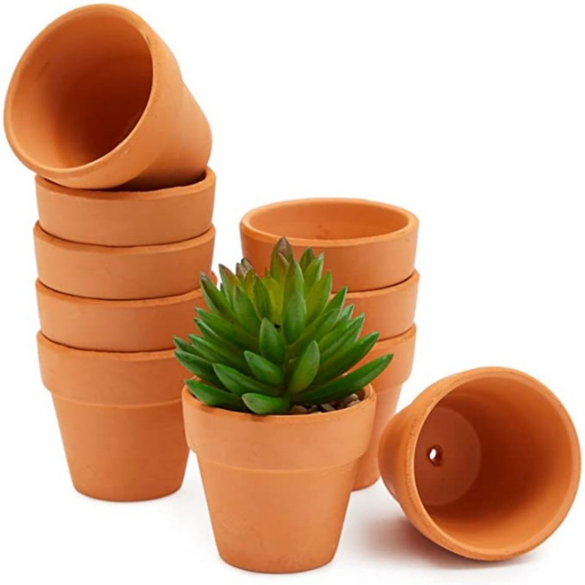 Cactus Mix Pot - 16 szt. Doniczek z terakoty 4,5