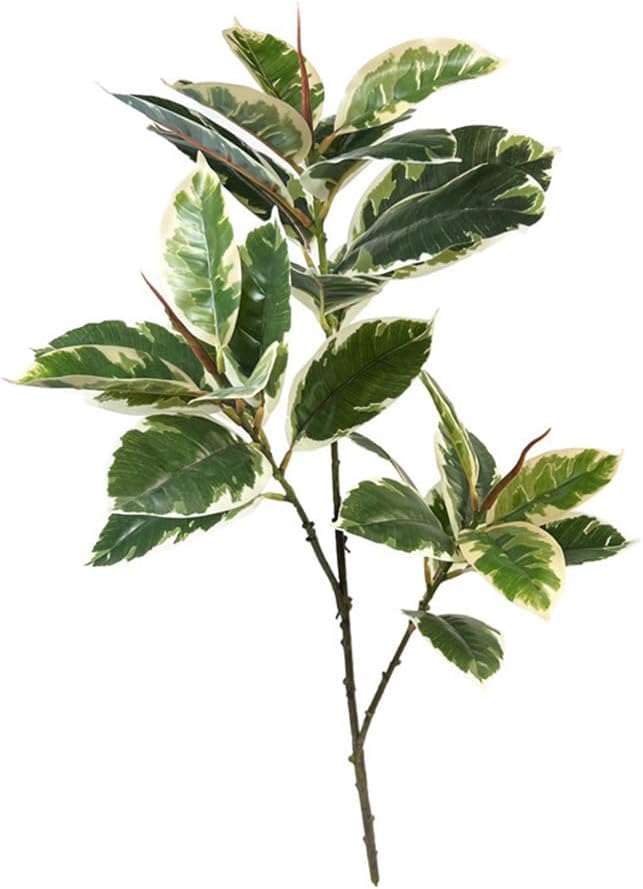 Rubber Plant Ficus - Ficus Tineke sztuczna roślina 31 