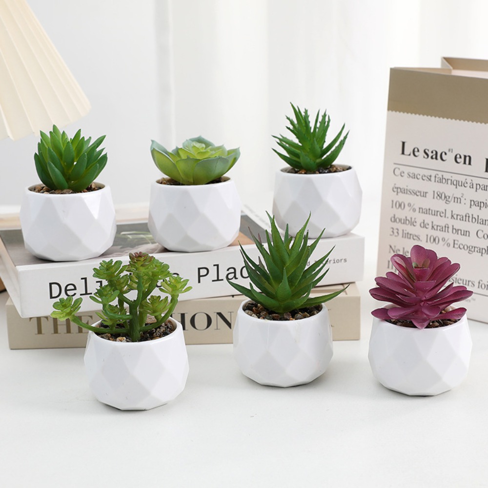 Cactus Mix Pot - Symulacja Wiecznie zielone sztuczne sukulenty kaktusy