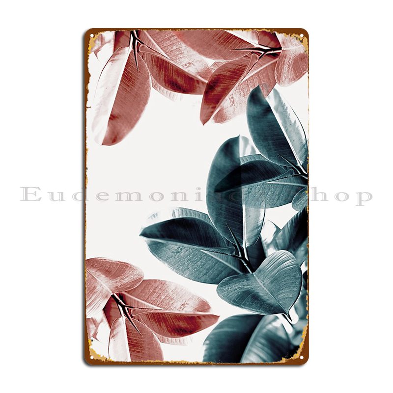 Rubber Plant Ficus - Rubber Plant Leaves Green And Pink