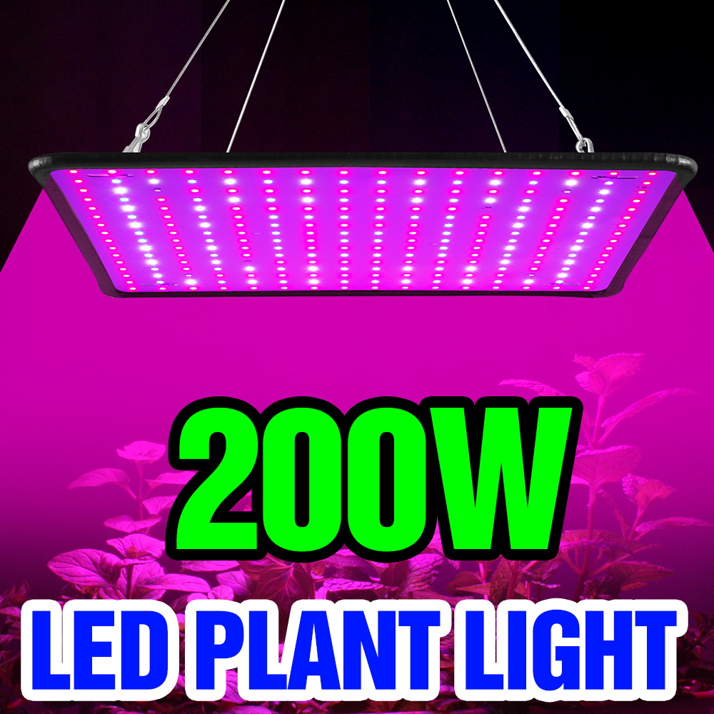 Cactus Mix Pot - Lampa LED Quantum Board 200W do