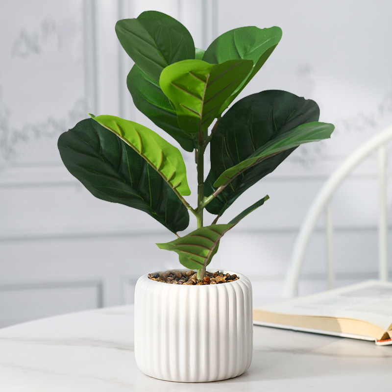 Rubber Plant Ficus - 38cm Sztuczne drzewo figowe Sztuczne liście