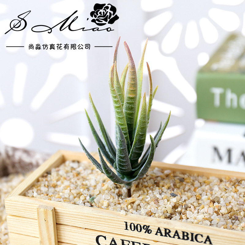 Succulent Arrangement Mini - Wusmart Ban Ma Lu Hui Sztuczne