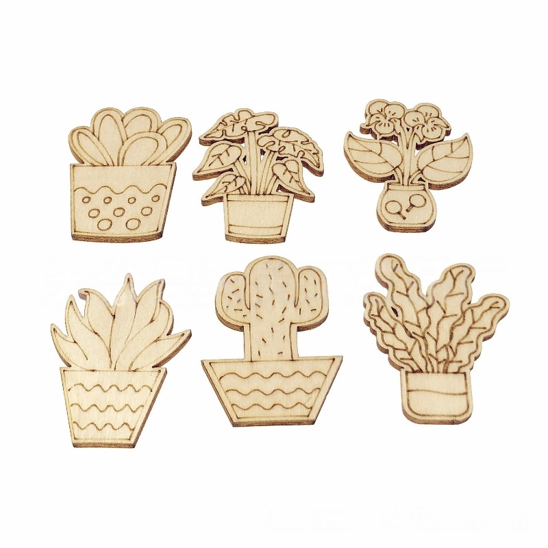 Cactus Mix Pot - 50 SZTUK Mieszane Wzory Kwiaty Kaktusy