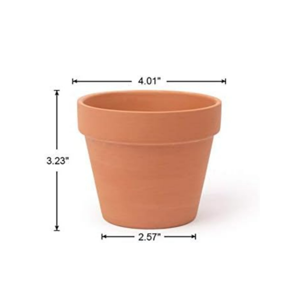 6 sztuk 4-calowych doniczek z  – Cactus Mix Pot recenzja i cena