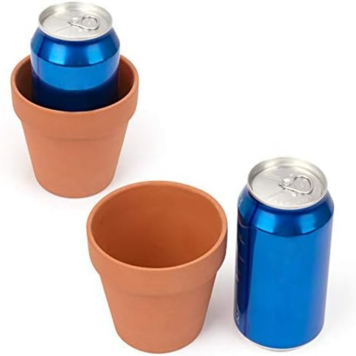 6 sztuk 4-calowych doniczek z  – Cactus Mix Pot recenzja i cena