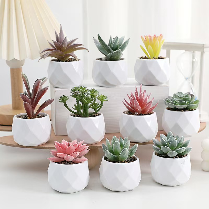 Mini sztuczne rośliny symulacj – Cactus Mix Pot recenzja i cena