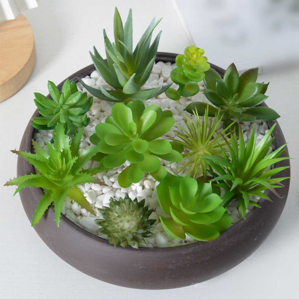 Sztuczne rośliny do mini bonsa – Succulent Arrangement Mini recenzja i cena
