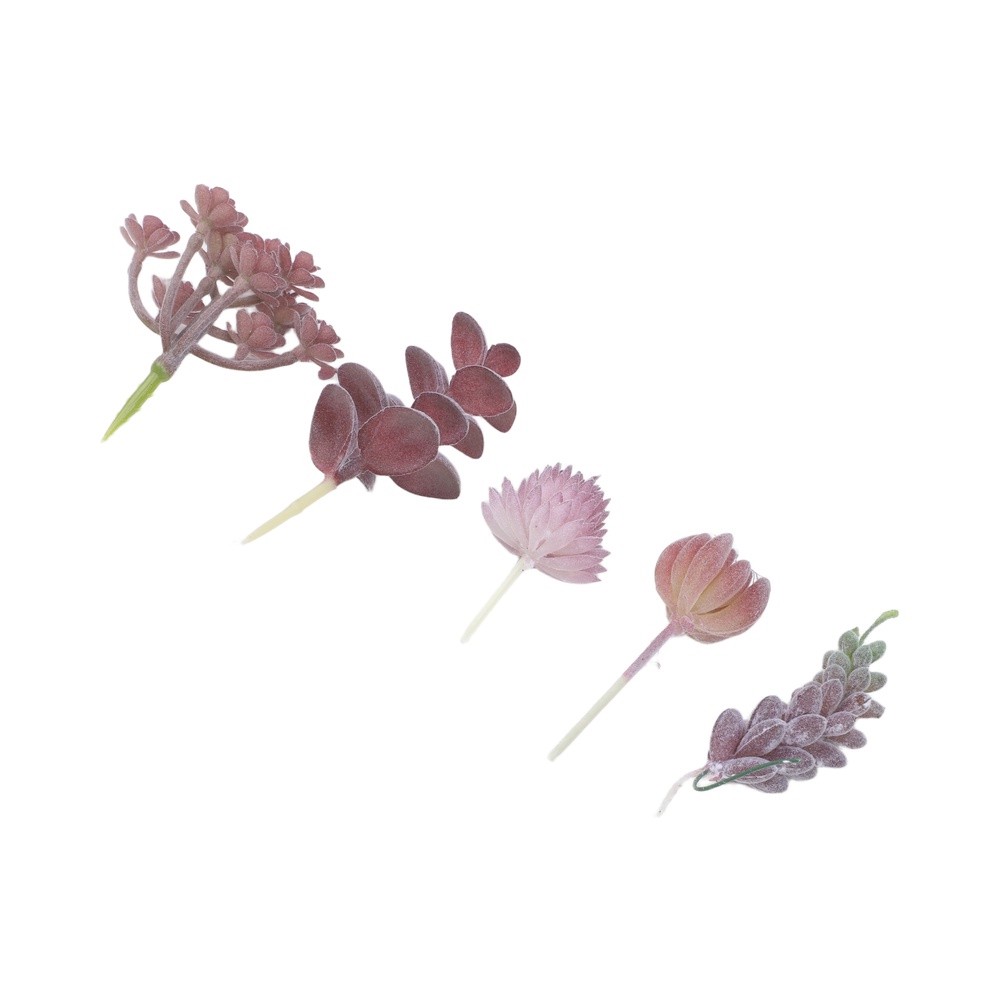 Sztuczne rośliny do mini bonsa – Succulent Arrangement Mini recenzja i cena