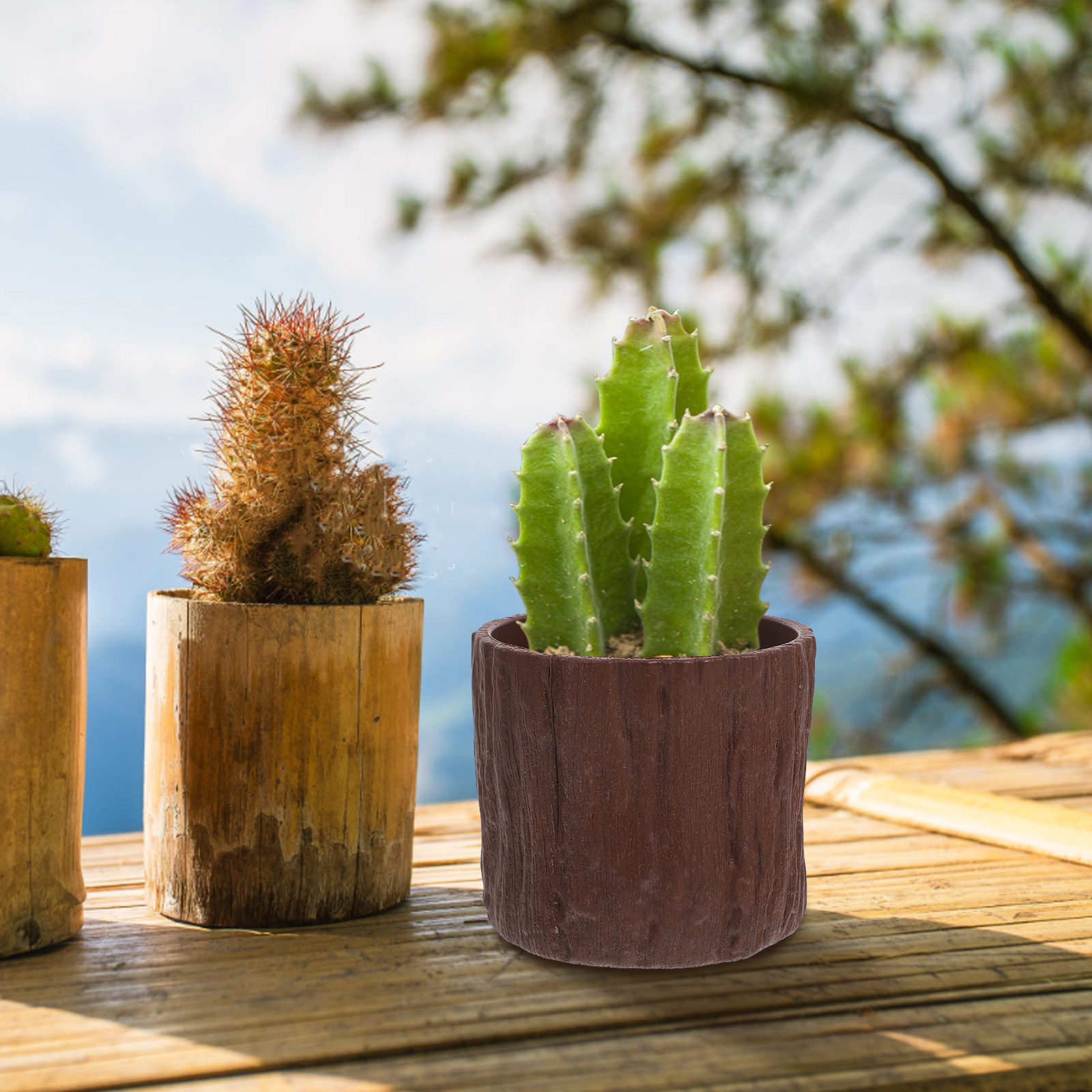 4 sztuki plastikowych doniczek – Succulent Arrangement Mini recenzja i cena