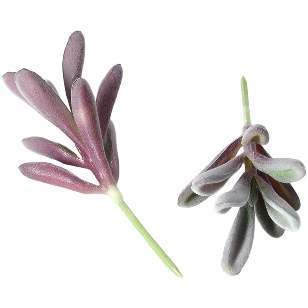 Sztuczne sukulenty z PVC, fiol – Succulent Arrangement Mini recenzja i cena