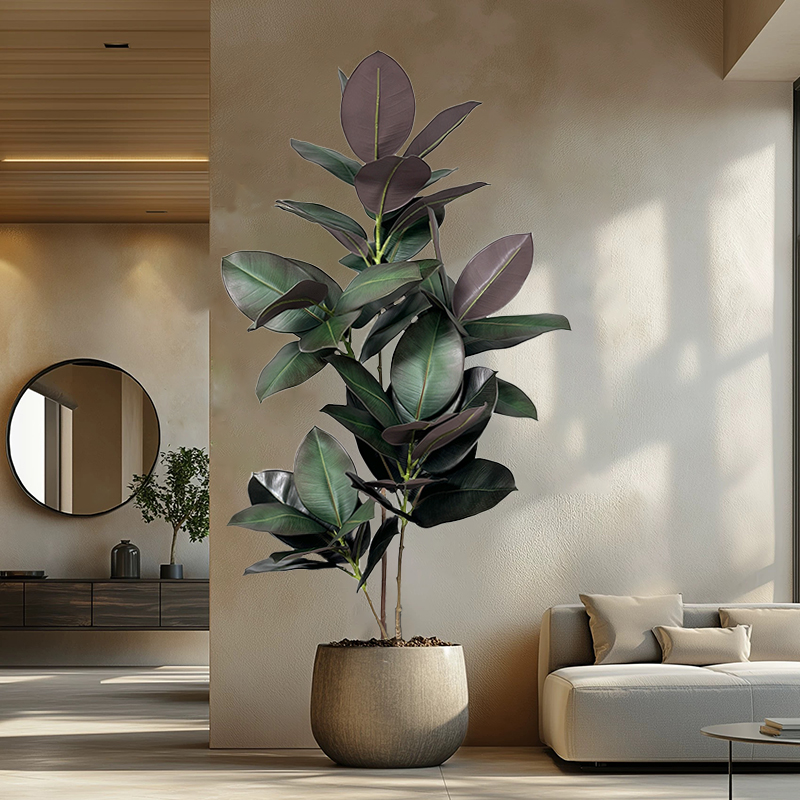 Sztuczny drzewko figowe o wyso – Rubber Plant Ficus recenzja i cena