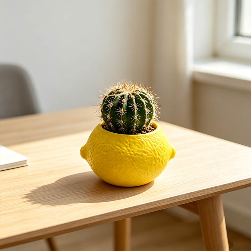 Doniczka dekoracyjna w kształc – Cactus Mix Pot recenzja i cena