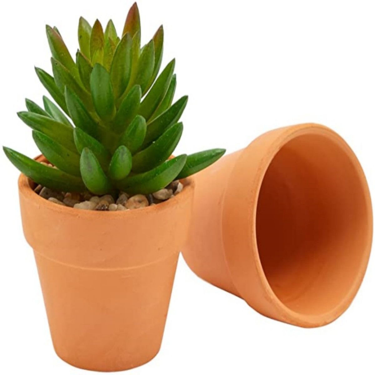 16 szt. Doniczek z terakoty 4, – Cactus Mix Pot recenzja i cena