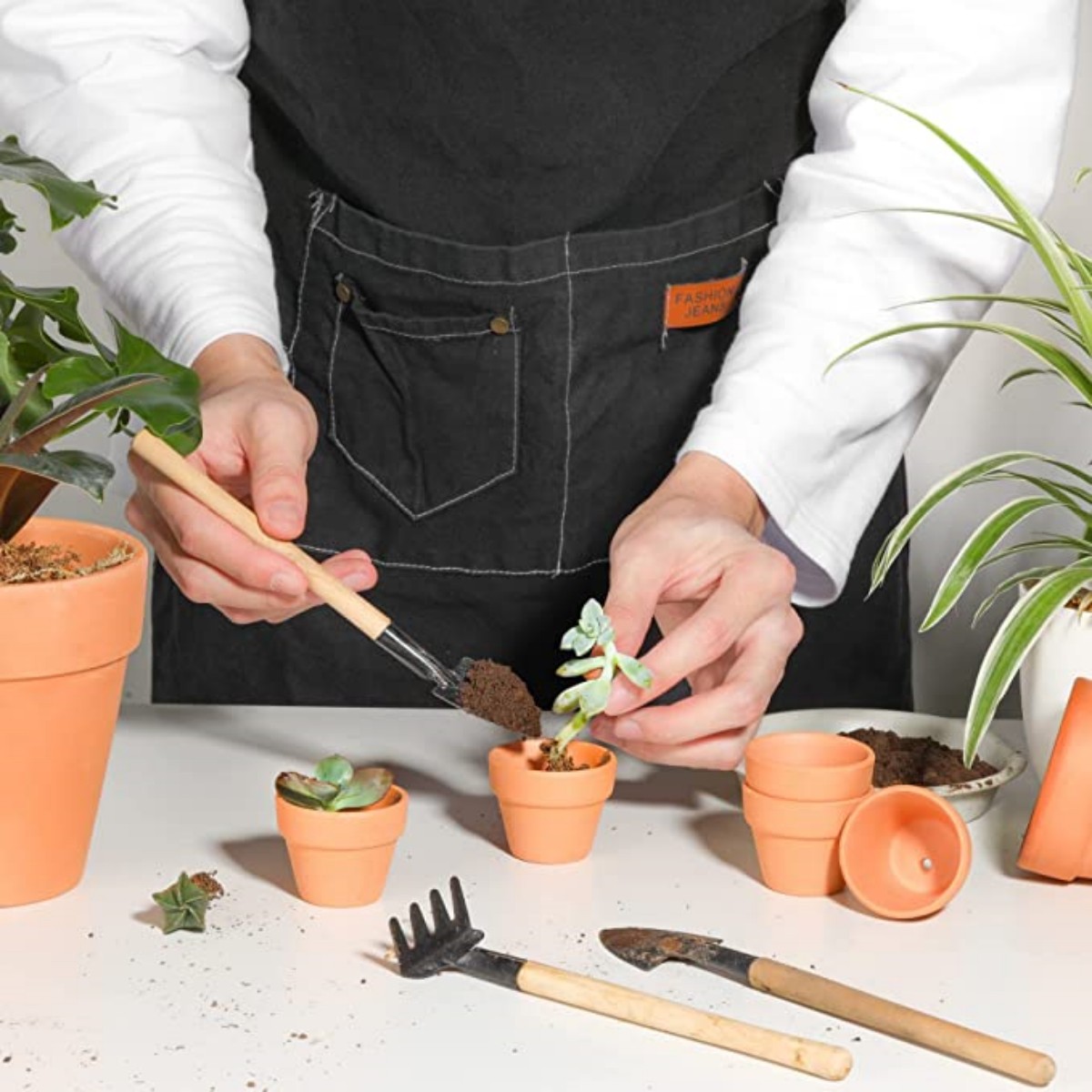 16 szt. Doniczek z terakoty 4, – Cactus Mix Pot recenzja i cena