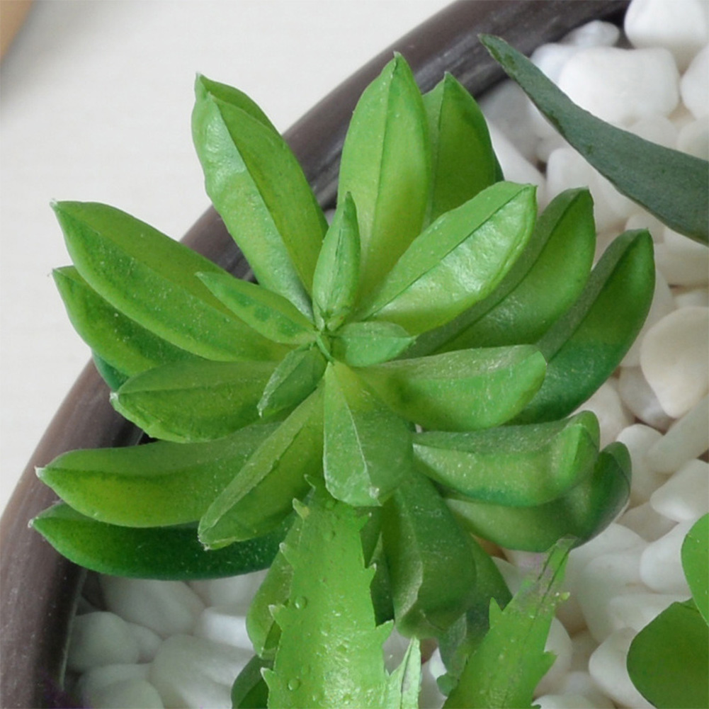 Plastikowe elementy do aranżac – Succulent Arrangement Mini recenzja i cena