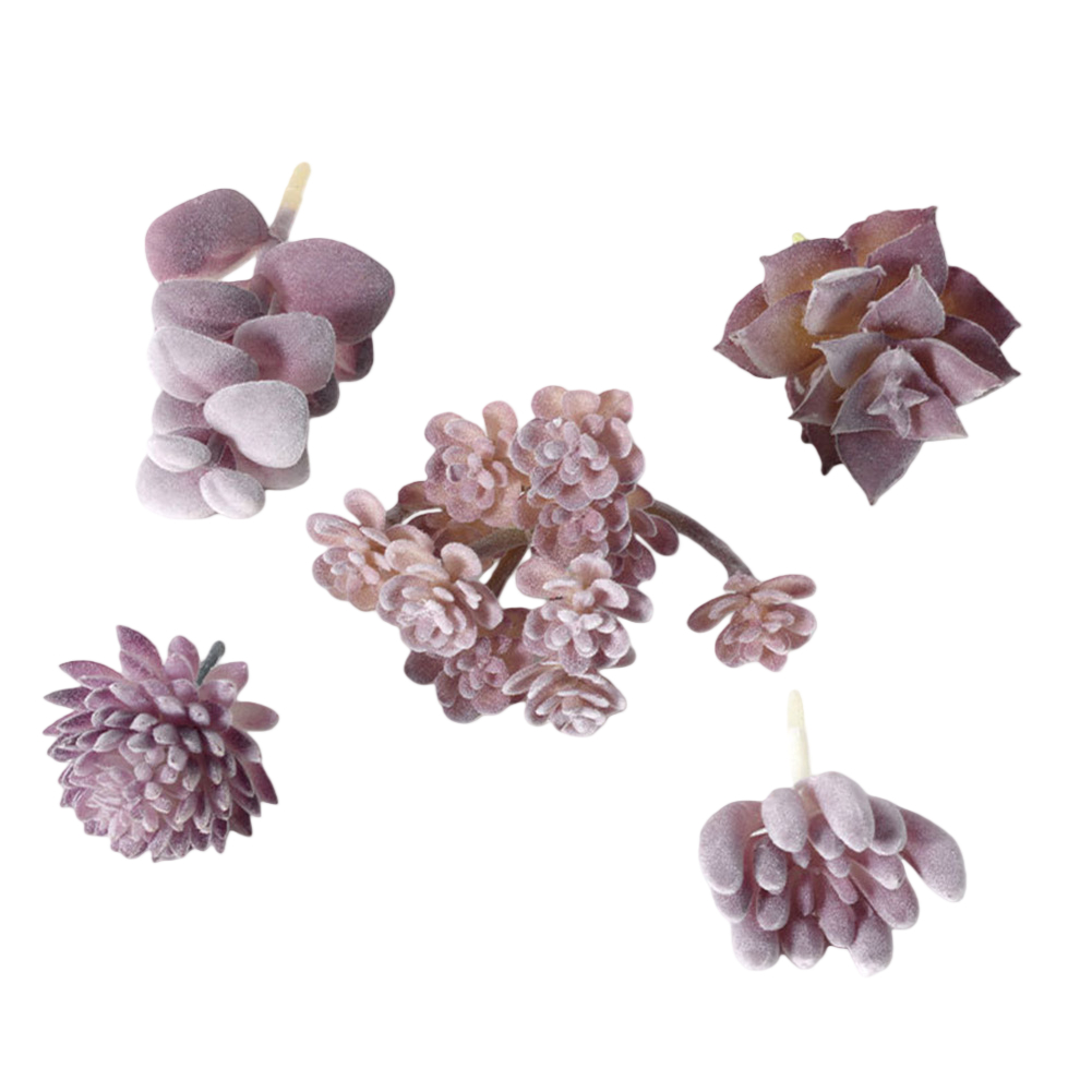 Plastikowe elementy do aranżac – Succulent Arrangement Mini recenzja i cena
