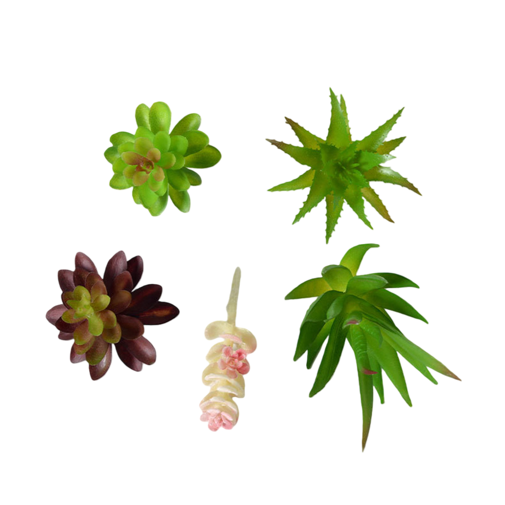 Plastikowe elementy do aranżac – Succulent Arrangement Mini recenzja i cena