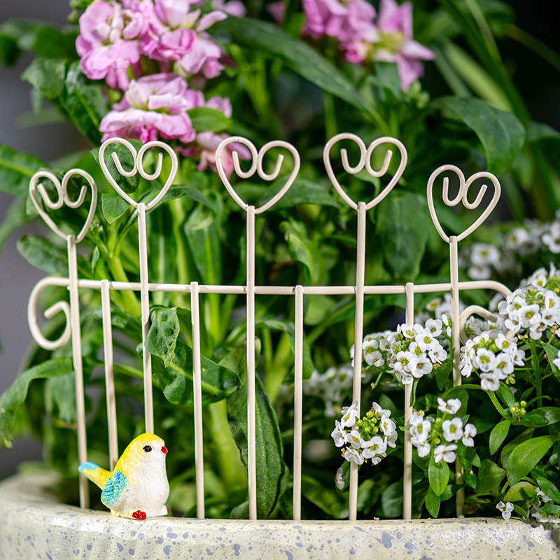 Urocza mini żelazna doniczka z – Succulent Arrangement Mini recenzja i cena