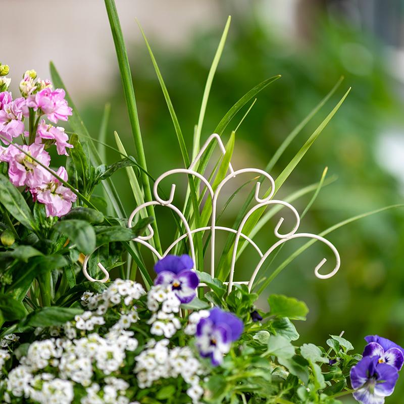 Urocza mini żelazna doniczka z – Succulent Arrangement Mini recenzja i cena