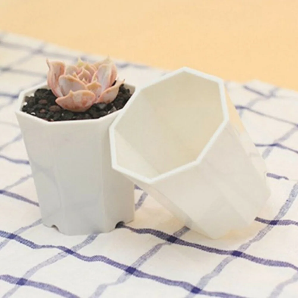 10 szt. Plastikowe mini donicz – Succulent Arrangement Mini recenzja i cena