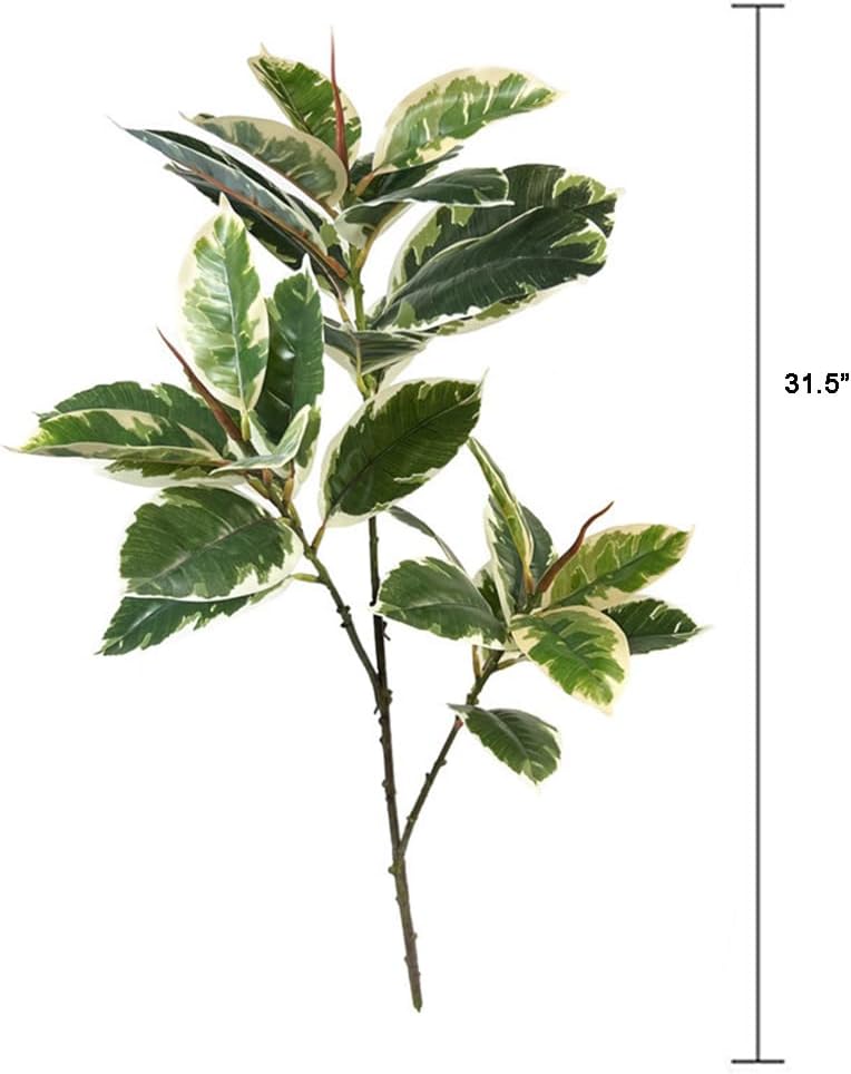 Ficus Tineke sztuczna roślina  – Rubber Plant Ficus recenzja i cena