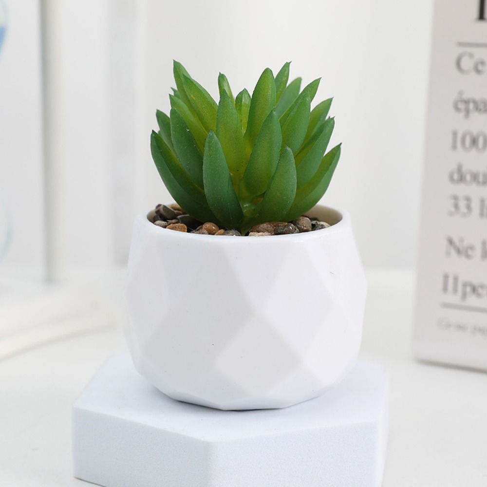Symulacja Wiecznie zielone szt – Cactus Mix Pot recenzja i cena