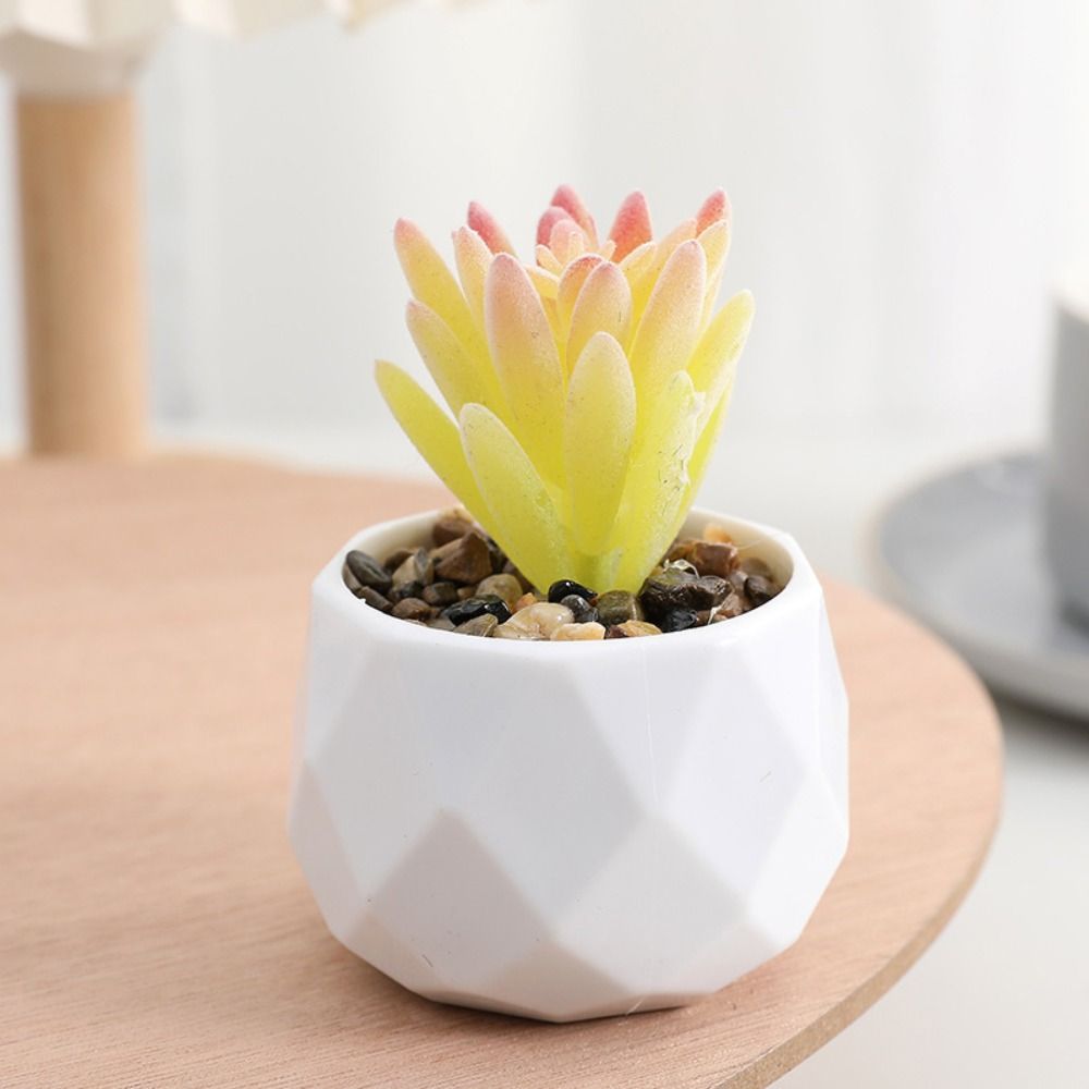 Symulacja Wiecznie zielone szt – Cactus Mix Pot recenzja i cena