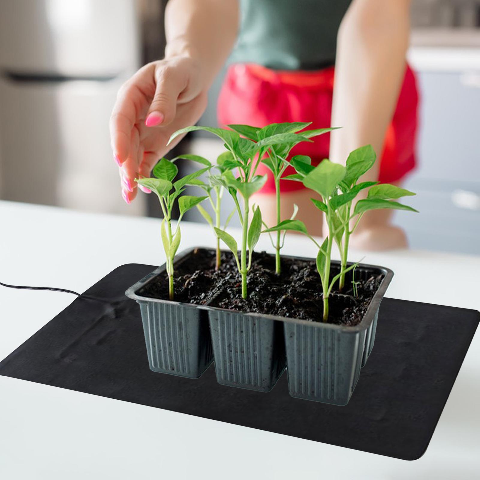 Mata grzewcza USB 8.5W do sadz – Plant Parenting recenzja i cena