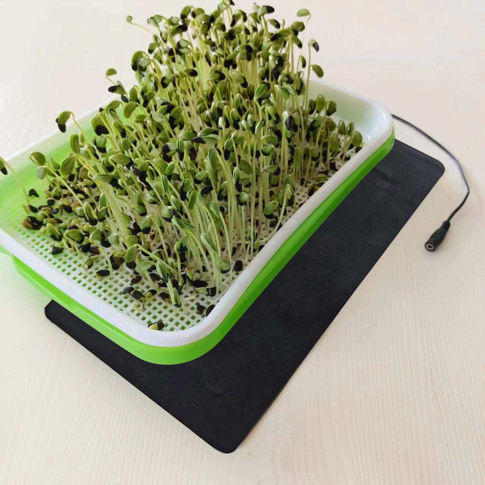 Mata grzewcza USB 8.5W do sadz – Plant Parenting recenzja i cena