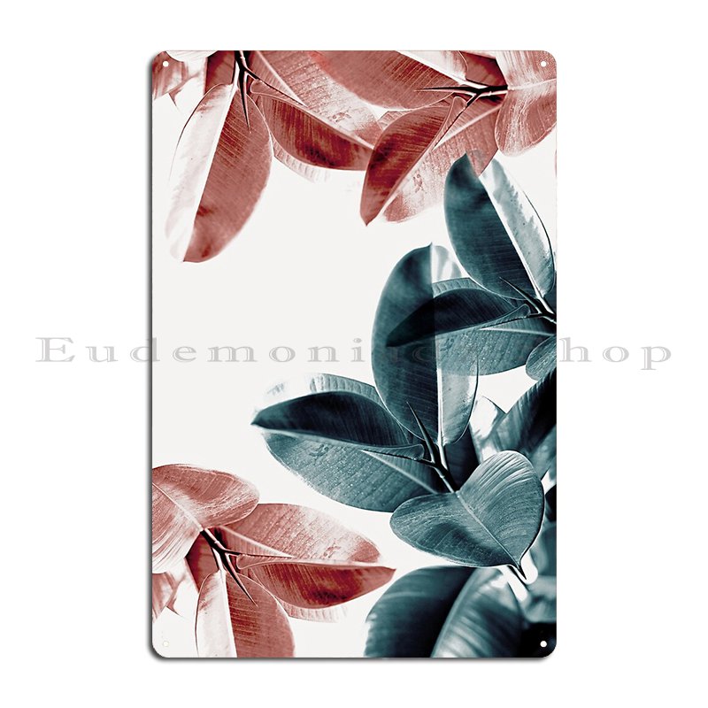 Rubber Plant Leaves Green And  – Rubber Plant Ficus recenzja i cena