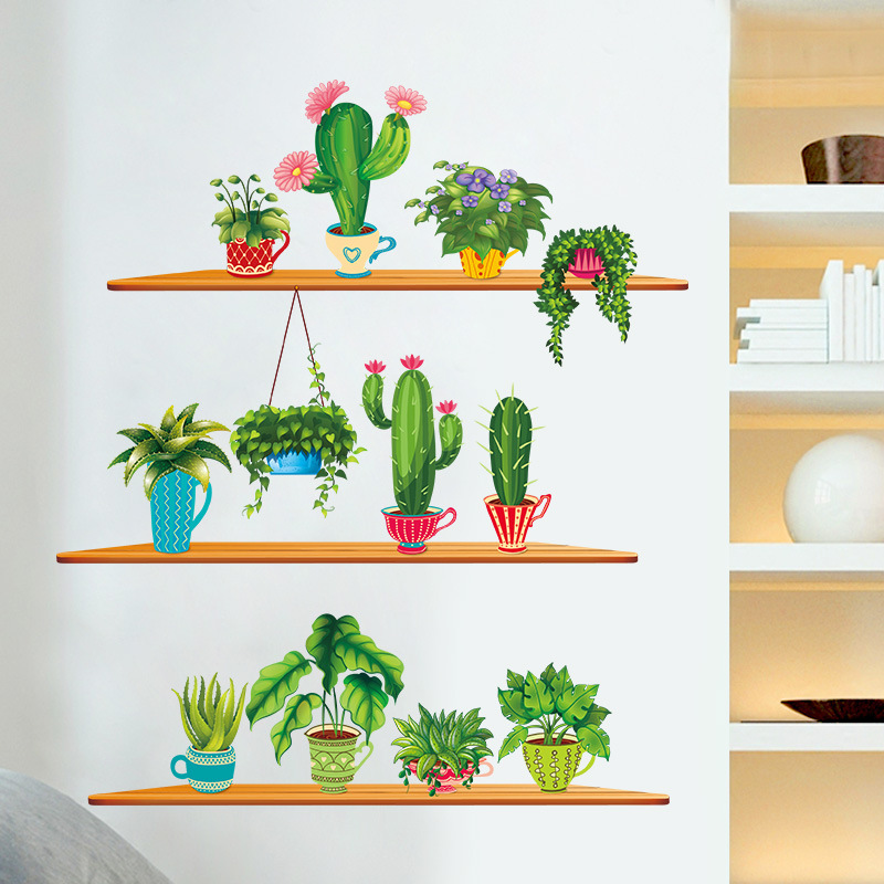 Zielona roślina ogrodowa Kaktu – Cactus Mix Pot recenzja i cena