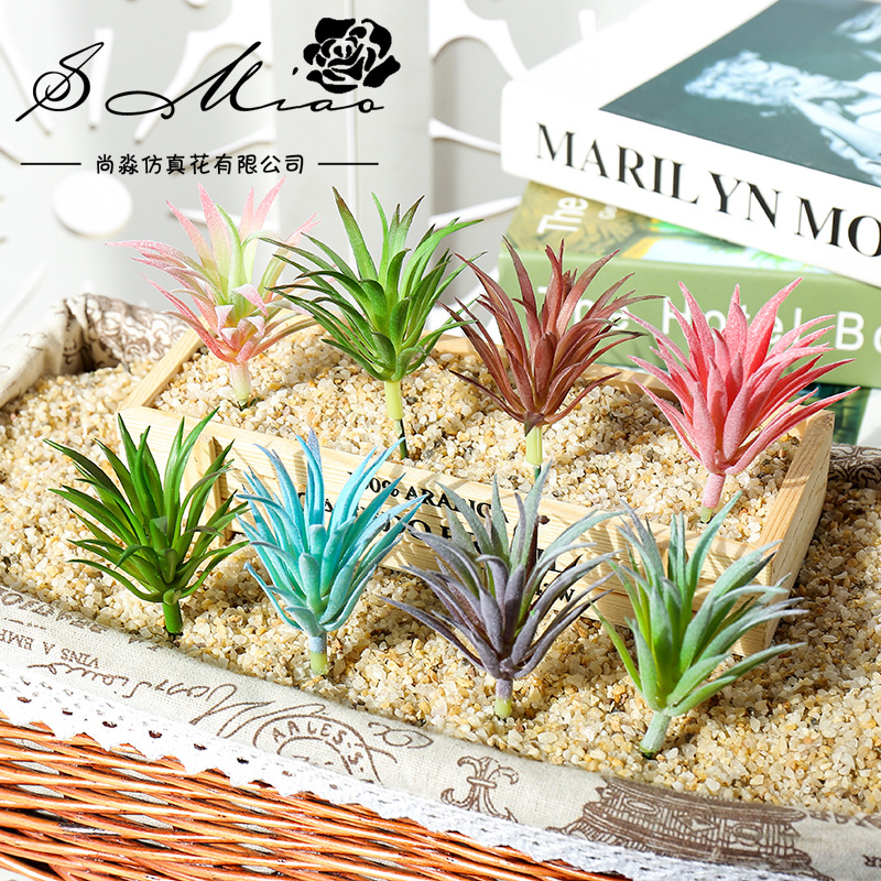 7.5x10cm Mini Ling Jiao Cao Sz – Succulent Arrangement Mini recenzja i cena