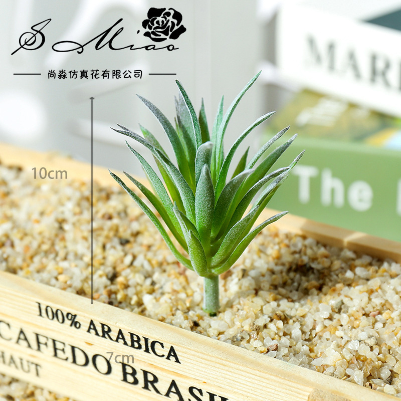 7.5x10cm Mini Ling Jiao Cao Sz – Succulent Arrangement Mini recenzja i cena