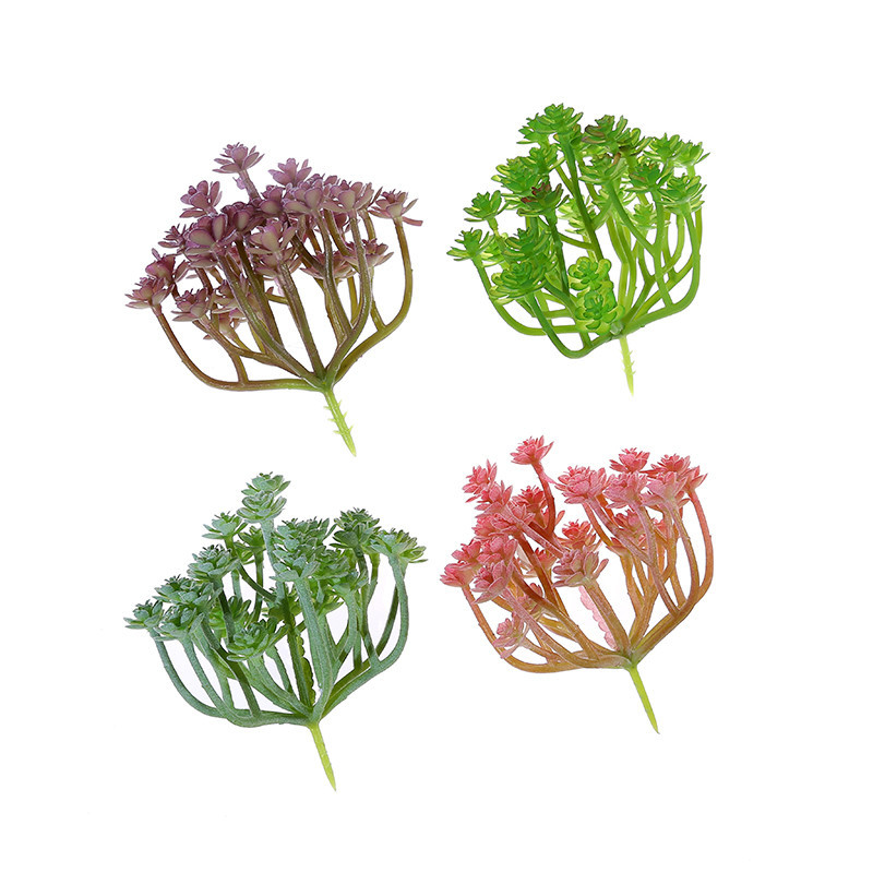 Wusmart duże Xian Ren Ke sztuc – Succulent Arrangement Mini recenzja i cena