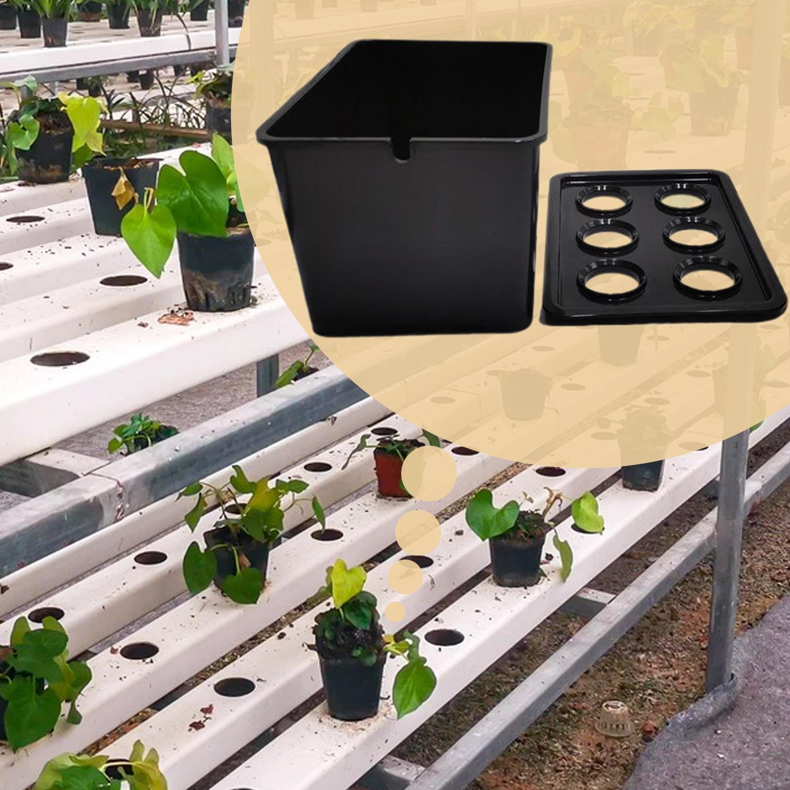Zestaw do hydroponiki dla pocz – Plant Parenting recenzja i cena