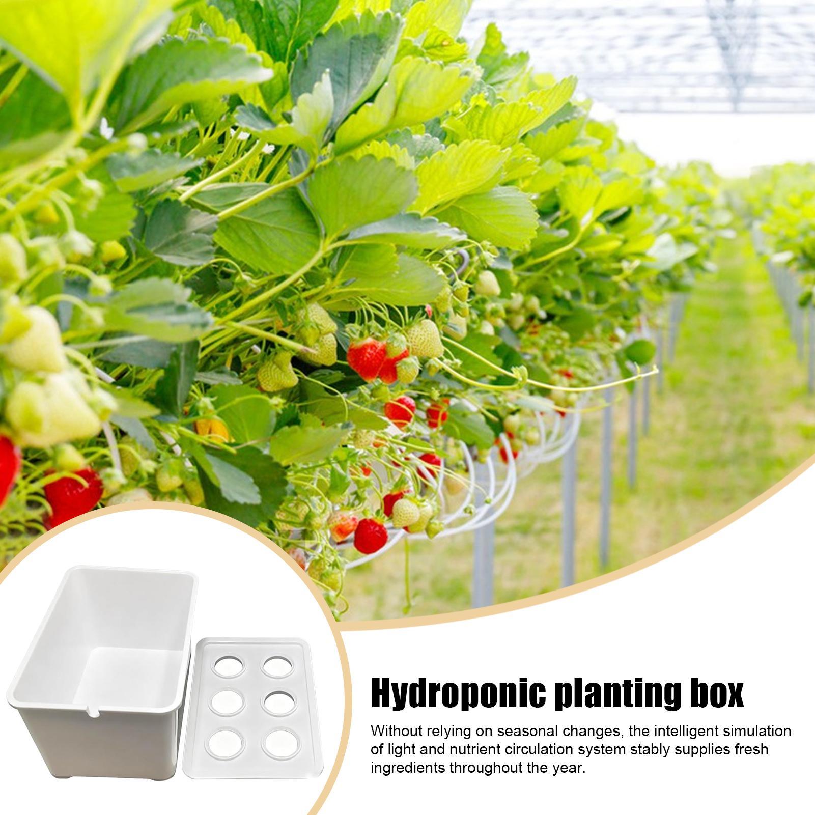 Zestaw do hydroponiki dla pocz – Plant Parenting recenzja i cena