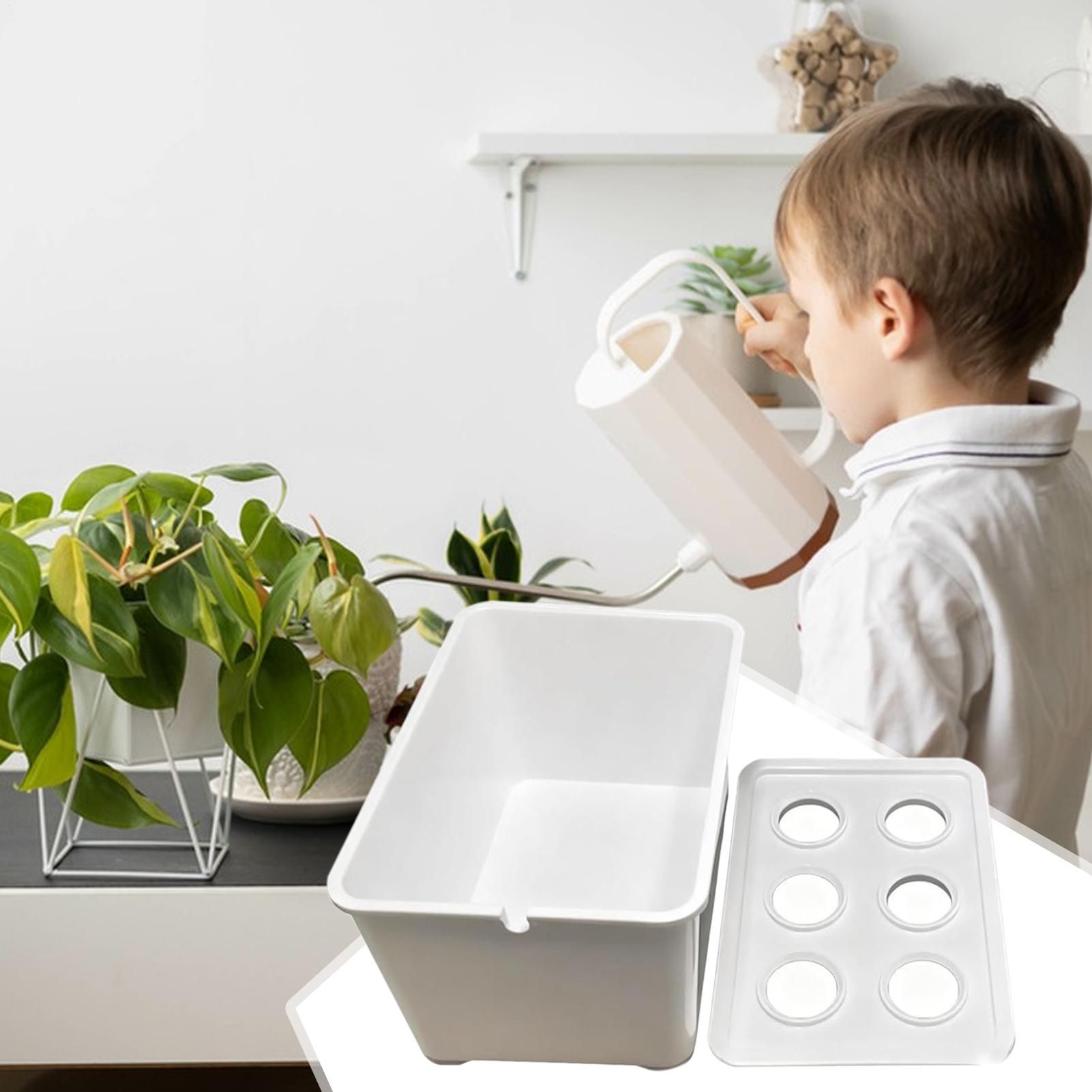 Zestaw do hydroponiki dla pocz – Plant Parenting recenzja i cena