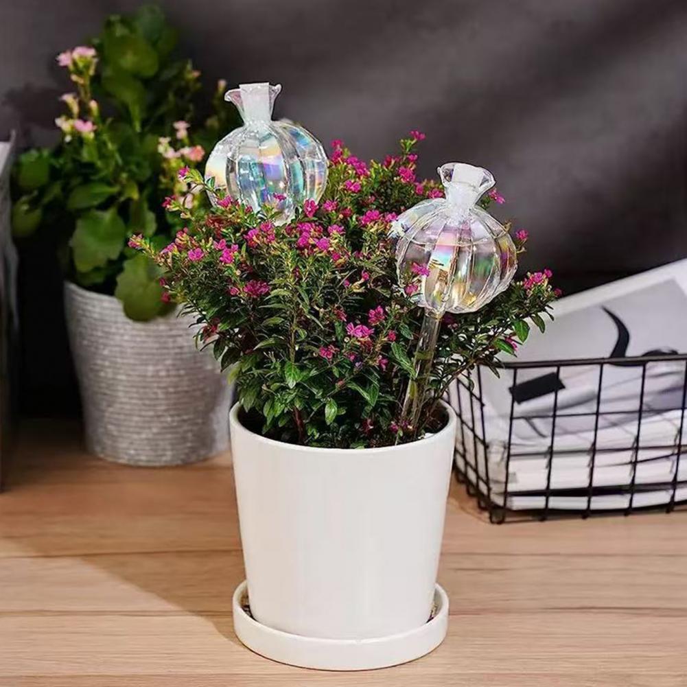 Automatyczne nawadniacze do ro – Cactus Mix Pot recenzja i cena