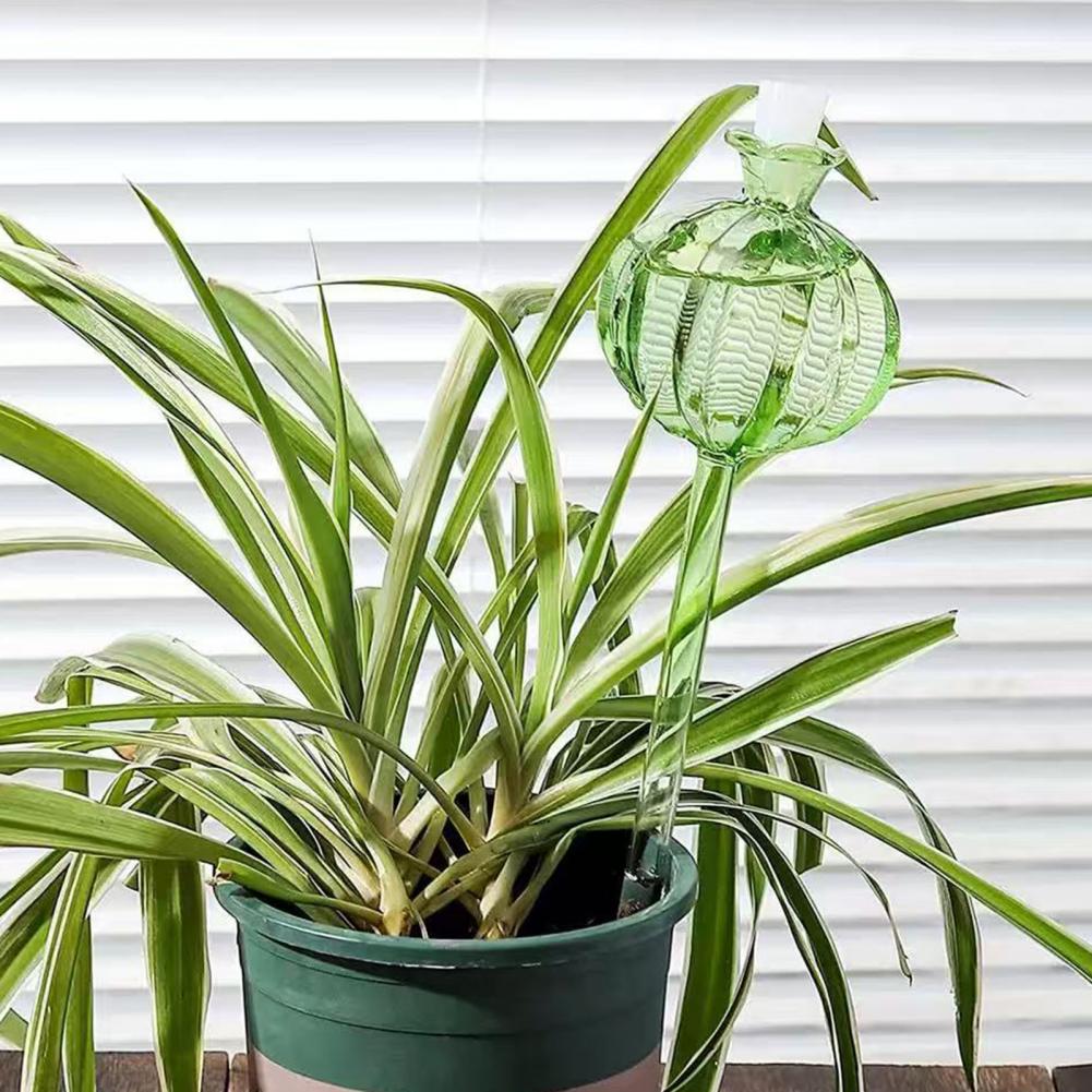 Automatyczne nawadniacze do ro – Cactus Mix Pot recenzja i cena