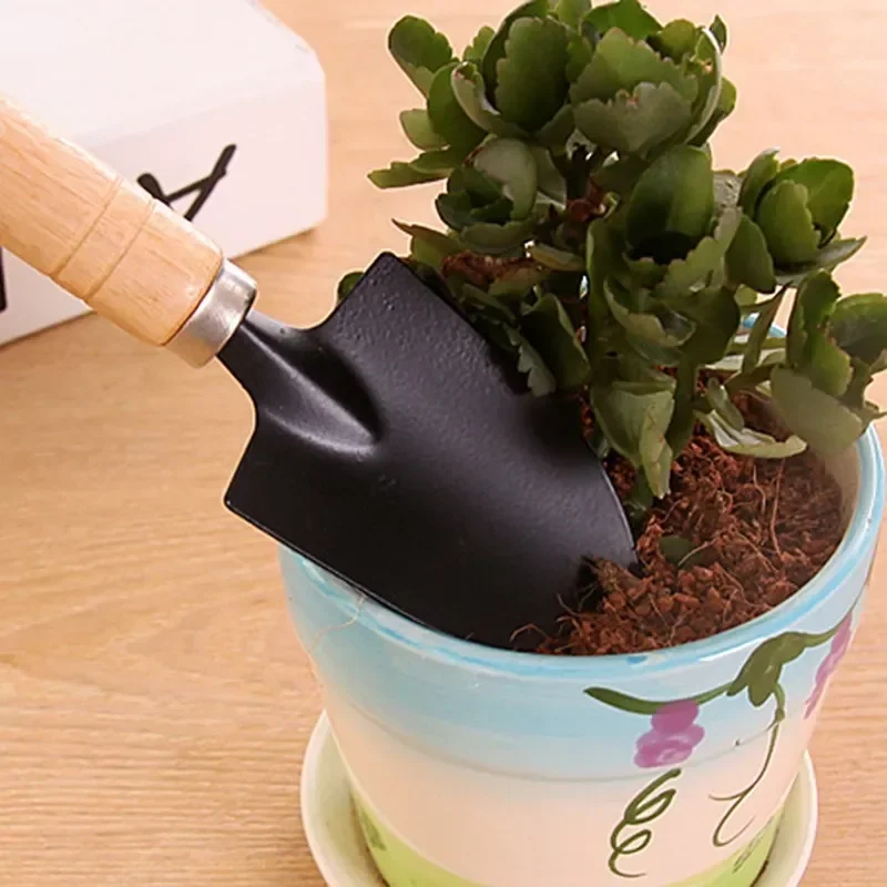 3 sztuk/zestaw Mini zestaw nar – Cactus Mix Pot recenzja i cena