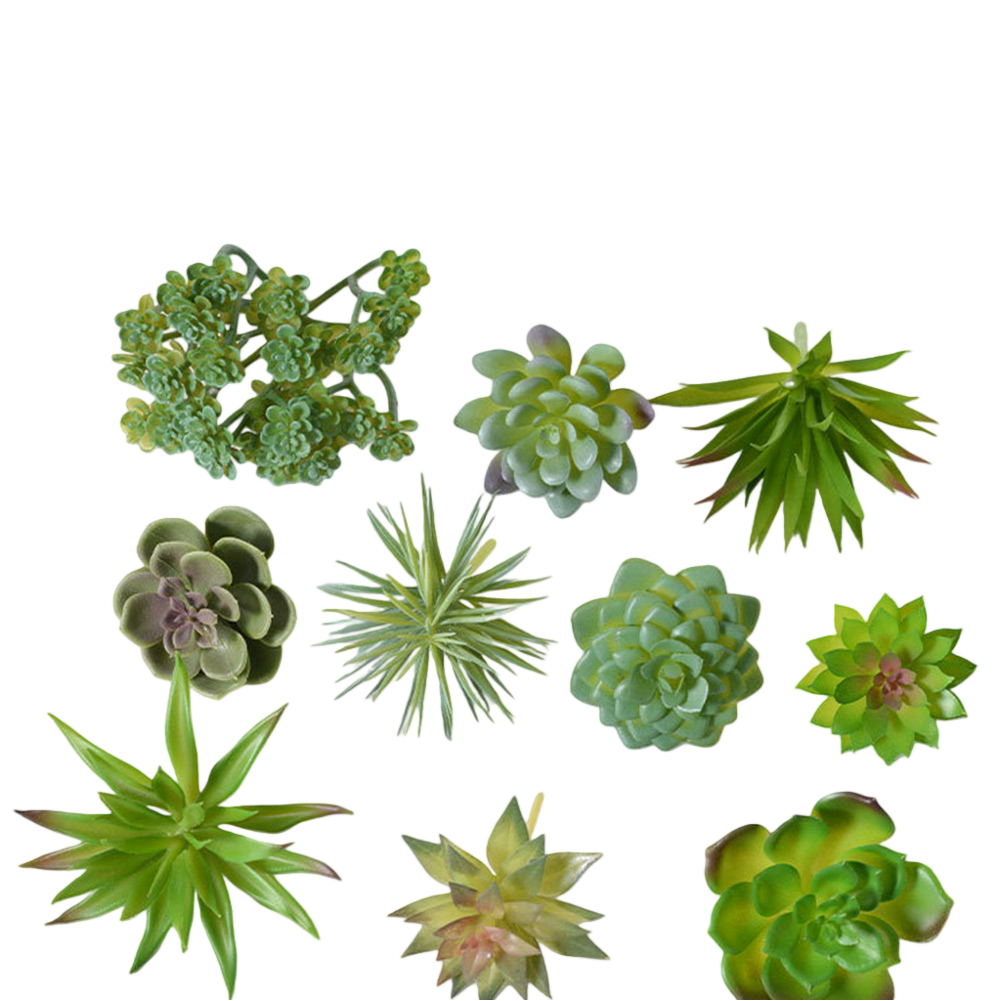 Sztuczne rośliny sukulentne mi – Succulent Arrangement Mini recenzja i cena
