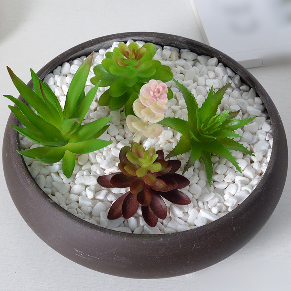 Sztuczne rośliny sukulentne mi – Succulent Arrangement Mini recenzja i cena