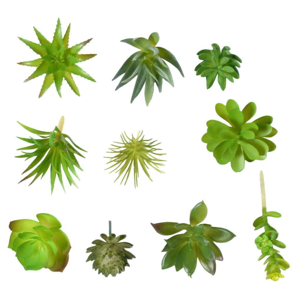 Rekwizyt fotograficzny do aran – Succulent Arrangement Mini recenzja i cena