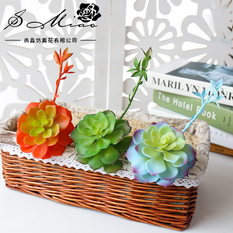 Wusmart Zhong Shi Lian Duże Sz – Succulent Arrangement Mini recenzja i cena