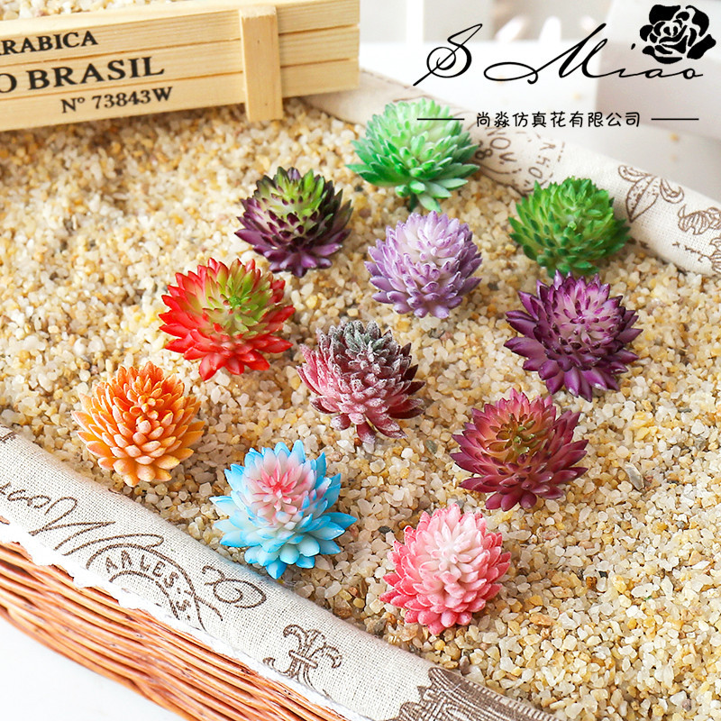 Sztuczne sukulenty Wusmart Ji  – Succulent Arrangement Mini recenzja i cena