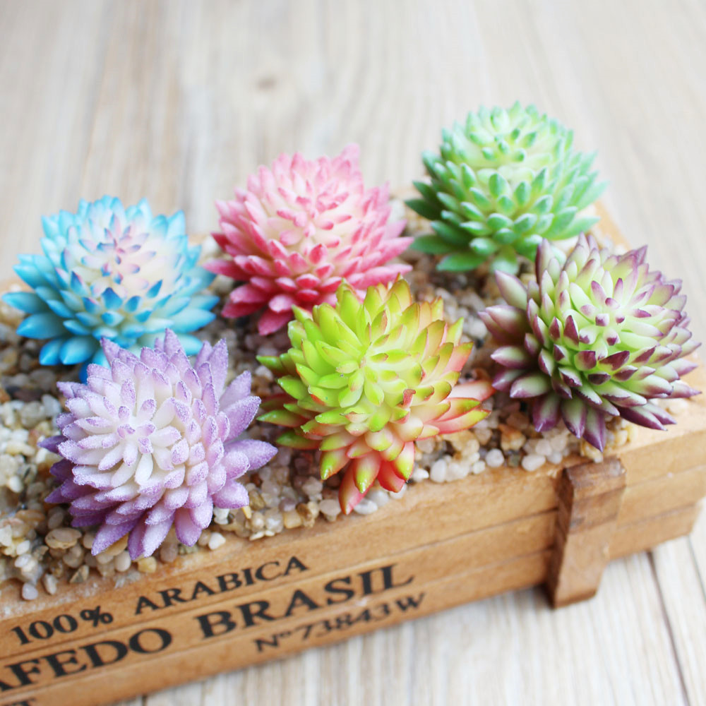 Sztuczne sukulenty Wusmart Ji  – Succulent Arrangement Mini recenzja i cena